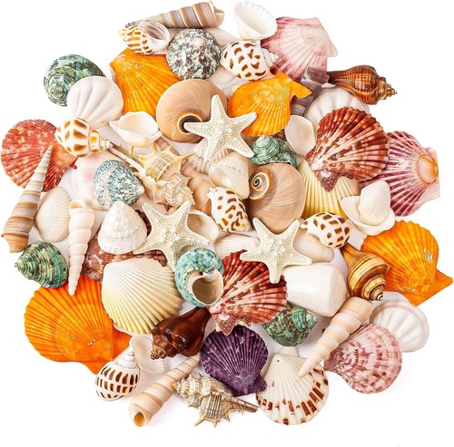 7 mixed ocean - mixed,
