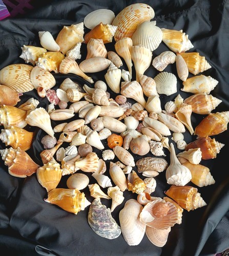 Mixed lot assorted - mixed, bulk
