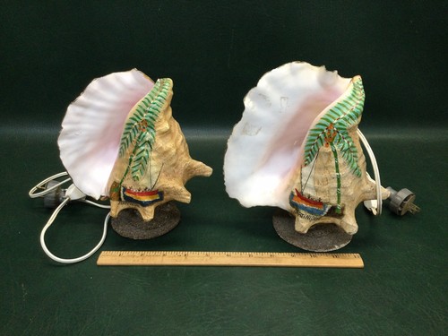 1940 handpainted conch - 1940/50's,