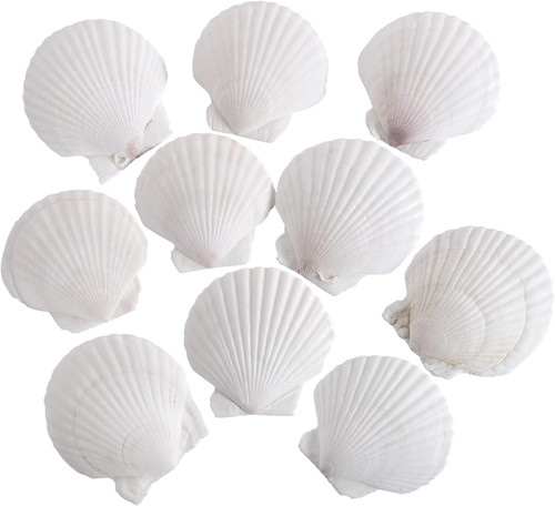Pcs inch natural white - inch,